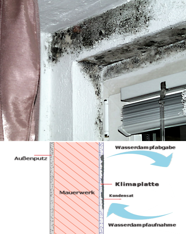 Schimmelbefall an Fensterlaibungen dauerhaft verhindern